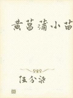 黄菖蒲小苗