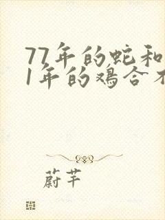 77年的蛇和81年的鸡合不合婚
