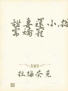 甜妻还小,总裁需娇宠