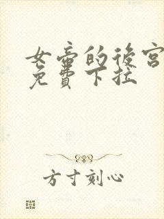 女帝的后宫漫画免费下拉