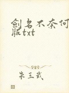 剑名不奈何完整版txt