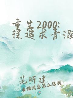 重生2000:从追求青涩校花同桌开始原著