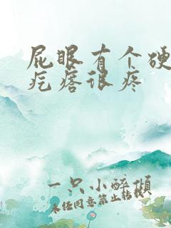 屁眼有个硬硬的疙瘩很疼
