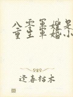 八零军嫂是神医重生军婚小说