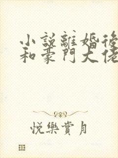 小说离婚后,我和豪门大佬领证了