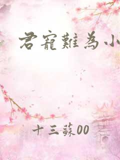 君宠难为小说