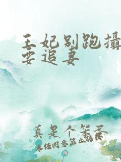 王妃别跑摄政王要追妻