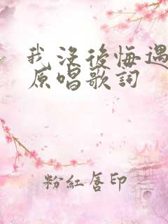我没后悔遇见你原唱歌词