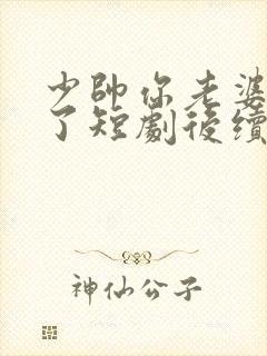 少帅你老婆又跑了短剧后续