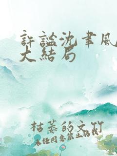 许谧沈聿风小说大结局