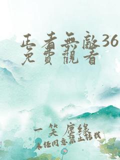 正者无敌36集免费观看