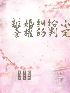 离婚纠纷小孩抚养权的判定