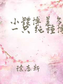 小体博美多少钱一只 纯种博美犬多少钱