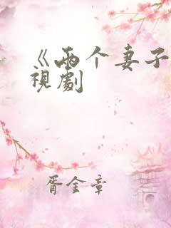 《两个妻子》电视剧