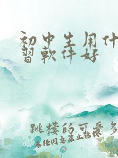 初中生用什么学习软件好