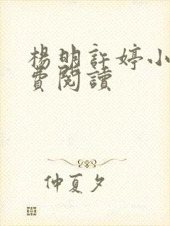 杨明许婷小说免费阅读