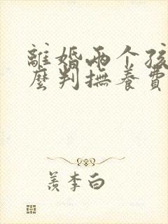 离婚两个孩子怎么判抚养费