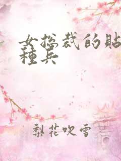 女总裁的贴身特种兵