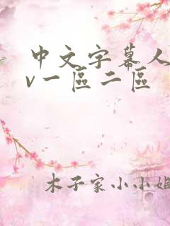 中文字幕人妻av一区二区