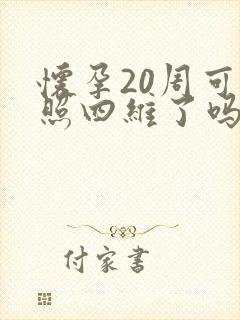 怀孕20周可以照四维了吗