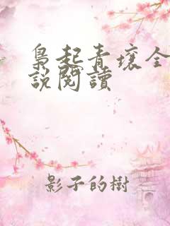 枭起青壤全本小说阅读