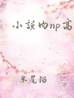 小说肉np高h