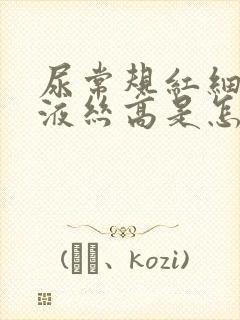 尿常规红细胞粘液丝高是怎么回事