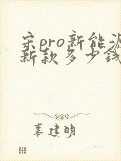 宋pro新能源新款多少钱