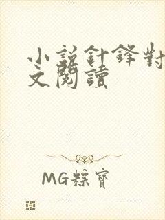 小说针锋对决全文阅读