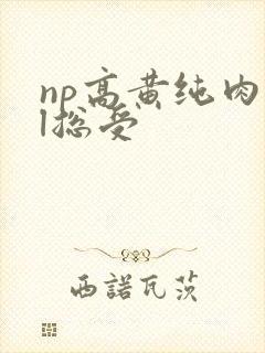 np高黄纯肉bl总受