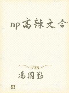 np高辣文合集