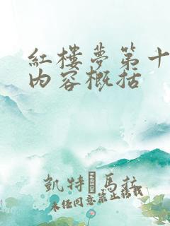 红楼梦第十七回内容概括