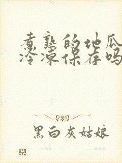煮熟的地瓜可以冷冻保存吗