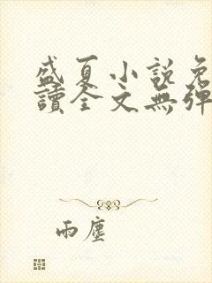 盛夏小说免费阅读全文无弹窗