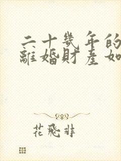 二十几年的婚姻离婚财产如何分割
