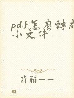 pdf怎么转成小文件