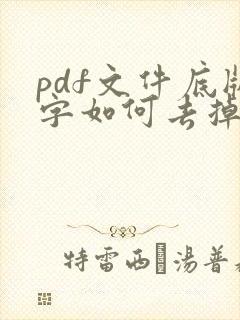 pdf文件底版字如何去掉