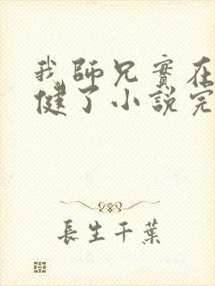 我师兄实在太稳健了小说完整精校版