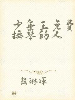 少年王免费阅读抚琴的人