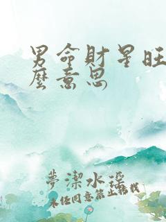 男命财星旺是什么意思