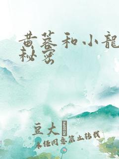 黄蓉和小龙女的秘密