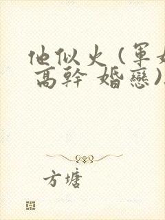 他似火 (军婚 高干 婚恋)无弹窗