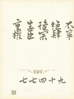 重生后绝不嫁给权臣宗肆宁芙全文