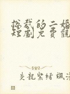 总裁的二婚甜妻短剧免费观看全集