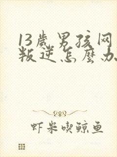 13岁男孩网瘾叛逆怎么办