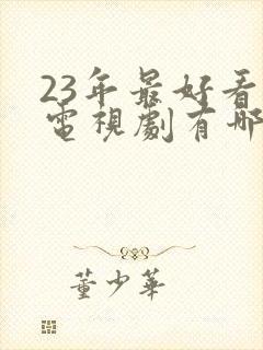 23年最好看的电视剧有哪些