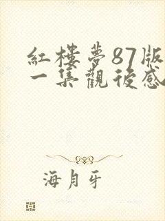 红楼梦87版每一集观后感200字