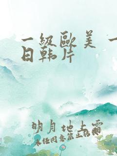 一级欧美 一级日韩片