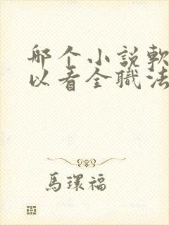 哪个小说软件可以看全职法师小说