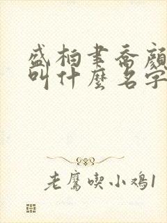 盛柏聿乔颜小说叫什么名字